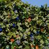 Uflower Зеленые Листья Цветочная Стена Сворачивающаяся Ткань Искусственный Цветочный Фон для Свадебного Мероприятия Вечеринки Декорации Штора