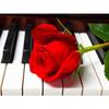 5D DIY Алмазная картина Фортепиано и розы Алмазная вышивка Набор для вышивки крестом Полный горный хрусталь Мозаика Домашний декор