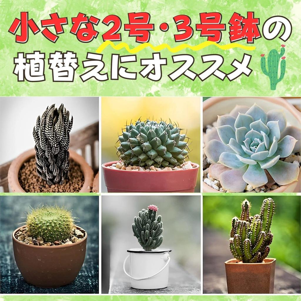 Leap Raupe Pot Bottom Net Piece Pot Bottom Small 2L [10-year-use (1 Included)] Pumice, Houseplant, Agave, Stone, Grain,