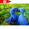 DIY Алмазная вышивка Полный дисплей Животное Алмазная картина Попугай Стразы Картины Алмазное искусство