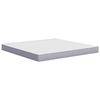VidaXL Matelas en Mousse Moyennement Doux, Matelas sans Ressorts avec Fermeture Éclair, Matelas Double Chambre à Coucher 373027