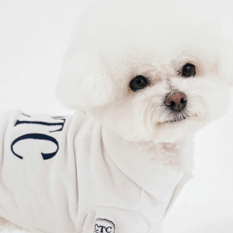 CROOKTHECHIHUAHUA Стандартный топ половинной длины ( 6color )