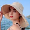 1pc Wide Brim Sun Hat Women Anti-UV Neck Protection Outdoor Fisherman Cap Fold Summer Multi-functional Beach Hat Sun Visors