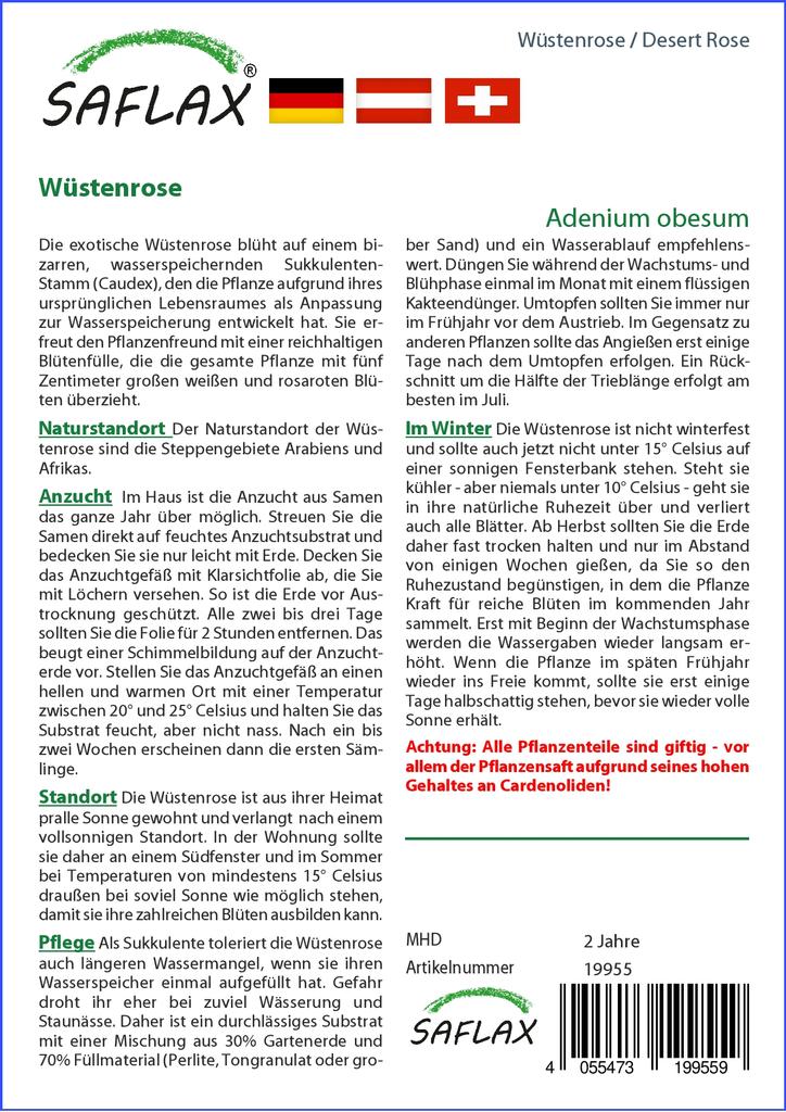 SAFLAX Garden in the Bag - Роза пустыни - 8 семян - С субстратом в подходящем пакете - Adenium obesum