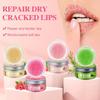Lip Scrub Vanilla Coconut Watermelon Lip Brighten Exfoliating Lip Moisturizing For Women Lip Care