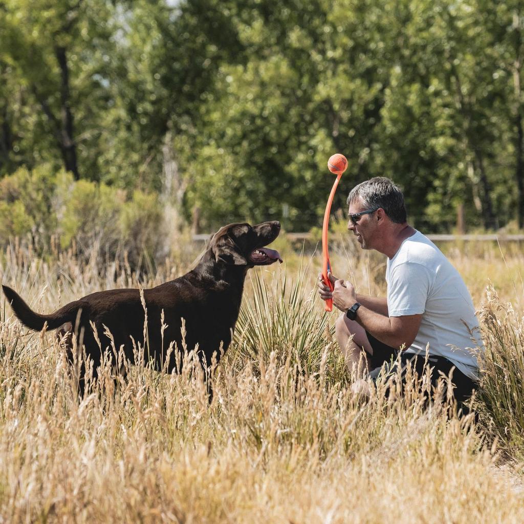 Большая установка для запуска мячей Chuckit! (различные цвета)