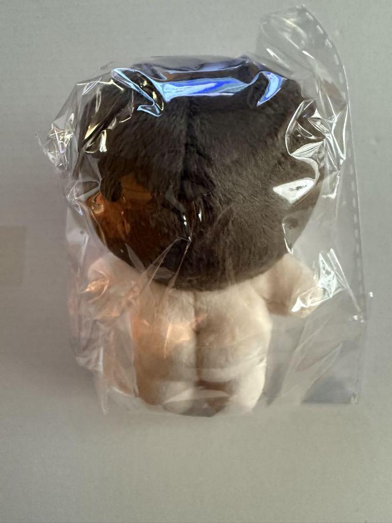 [USED] BTS Jungkook 10cm Plush Toy & Sticker