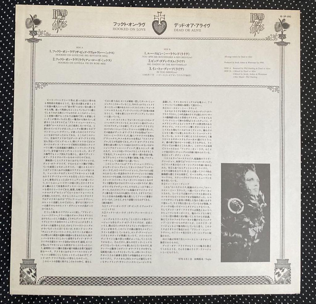 [USED] Dead Or Alive Domestic 12-inch Records x 2