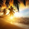 3D Постер Фотообои Природа Для Гостиной ТВ Фон Настенное Покрытие Закат Сияние Кокос Морской Пейзаж Фреска Бумага 2 продано