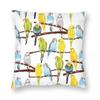Budgie Watercolour Square Pillowcase Polyester Linen Velvet Pattern Zip Decorative Throw Pillow Case Seater Cushion Cover x