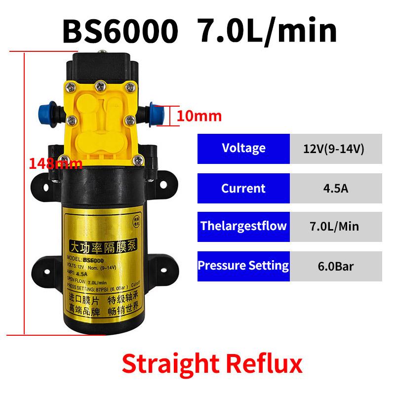 12V Agricultural Electric Spray Water Pump Small High-pressure Spraying Pump Self-priming Diaphragm Pump Pesticide Water Pump
