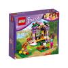 LEGO Friends 41031 Горный приют Андреа