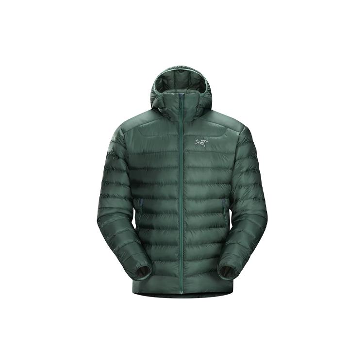 Мужская пуховая куртка Arc'teryx CERIUM LT 29923-