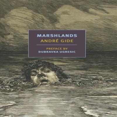 Marshlands by Damion Searls Paperback Book 9781681374727