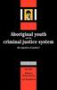 Книга Aboriginal Youth and the Criminal Justice System : The Injustice of Justice?