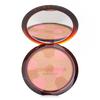 Terracotta Light The Sun Kissed Healthy Glow Powder - # 04 Deep Cool