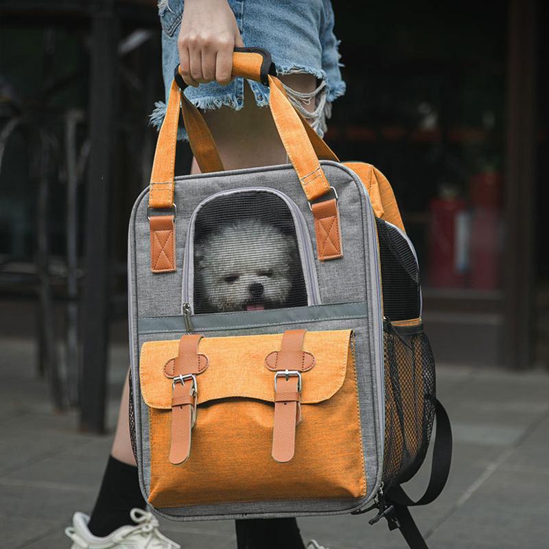 Pet carrier: cats, small dogs