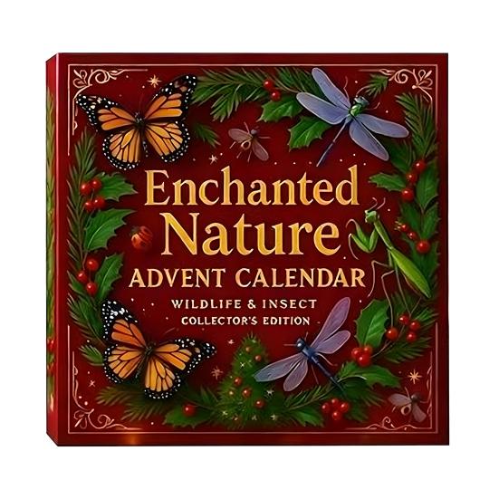 Nature’s Trick Advent Calendar Christmas Countdown Box 24-day Advent Calendar Festive