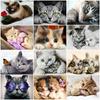 DIY Diamond Painting Kitten Cross Stitch Kit Mosaic Art Diamond Painting Full Circle/Square Diamond Home Decoration