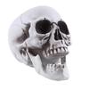 Life Size Human Skull Model Halloween Decor Skeleton Skull Realistic Human Adult Skull Head Bone Model Graveyard Outdoor Decor