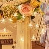 LED Christmas Decorative String Lights