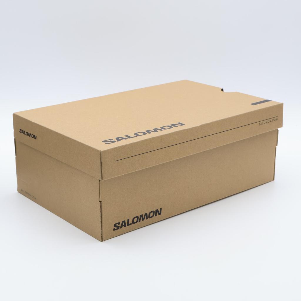 L41617500 Salomon XA Pro 3D Alloy Silver (Мужской)