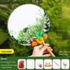Dried Flower Fan DIY Kit for International Women's Day - Team Building & Handmade Gift