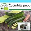 Подарочный набор - Органический - Кабачки - Неро ди Милано - 6 семян - С подарочной коробкой, карточкой, этикеткой и субстратом для горшков - Cucurbita pepo