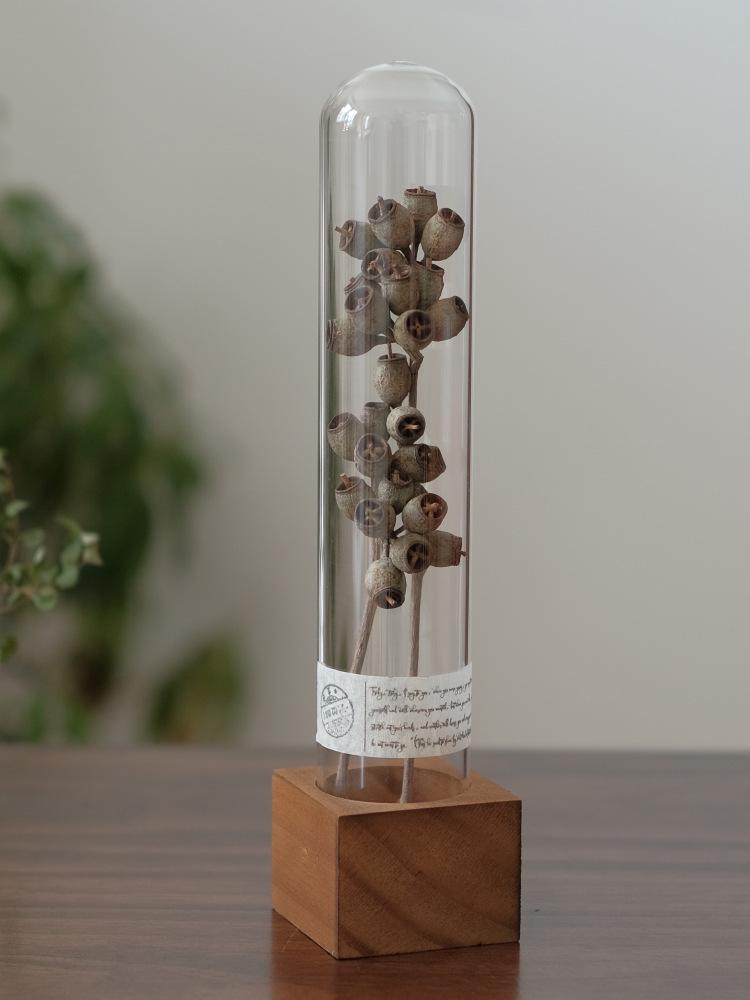Wabi-Sabi Style Xian Porcelain Test Tube Rack: Retro Gift for Dried and Preserved Flowers, Plant Specimen Display