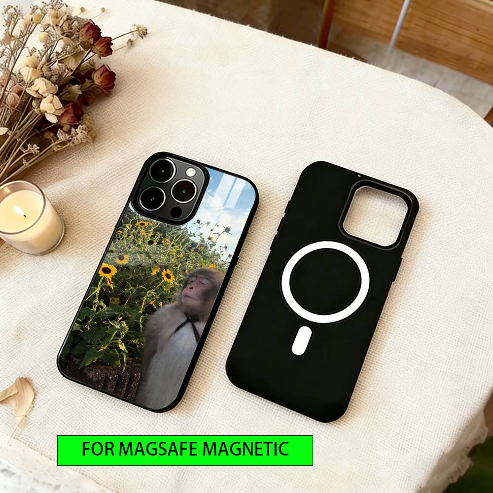 little monkey Phone Case For iPhone17,16,15,14,13,12,11 Plus,Pro Magnetic For Magsafe Wireless Charging