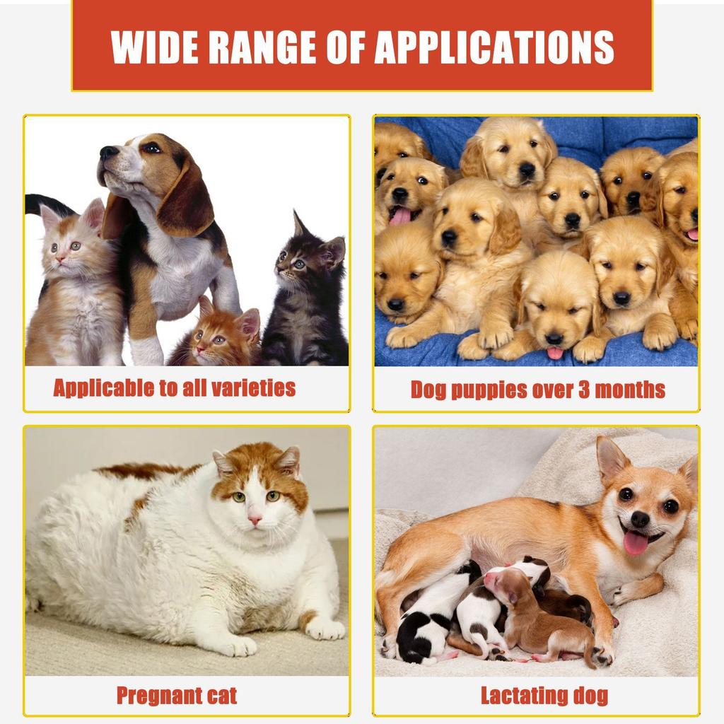 Yegbong Fast-Acting Blood Stop Powder for Pets Quick Stop Bleeding Powder for Dog Nail Clipping, Grooming, Cuts and More