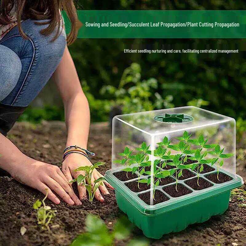 Thickened 6/12-Hole Seedling Tray with Rotating Switch & Transparent Lid for Heat and Moisture Retention