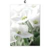 White Daisy Succulent Aloe Tropical Plant Wall Art Canvas Painting Nordic Posters And Prints Wall Pictures For Living Room Decor