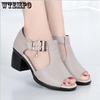 Open Toe Mid Heel Soft Sole Hollow Out Sandals Waterproof Platform Comfortable Thick Heel Large Size Sandals Pumps