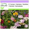 Bird & Butterfly Mix - 1000 Seeds - 21 Wildflower Mix