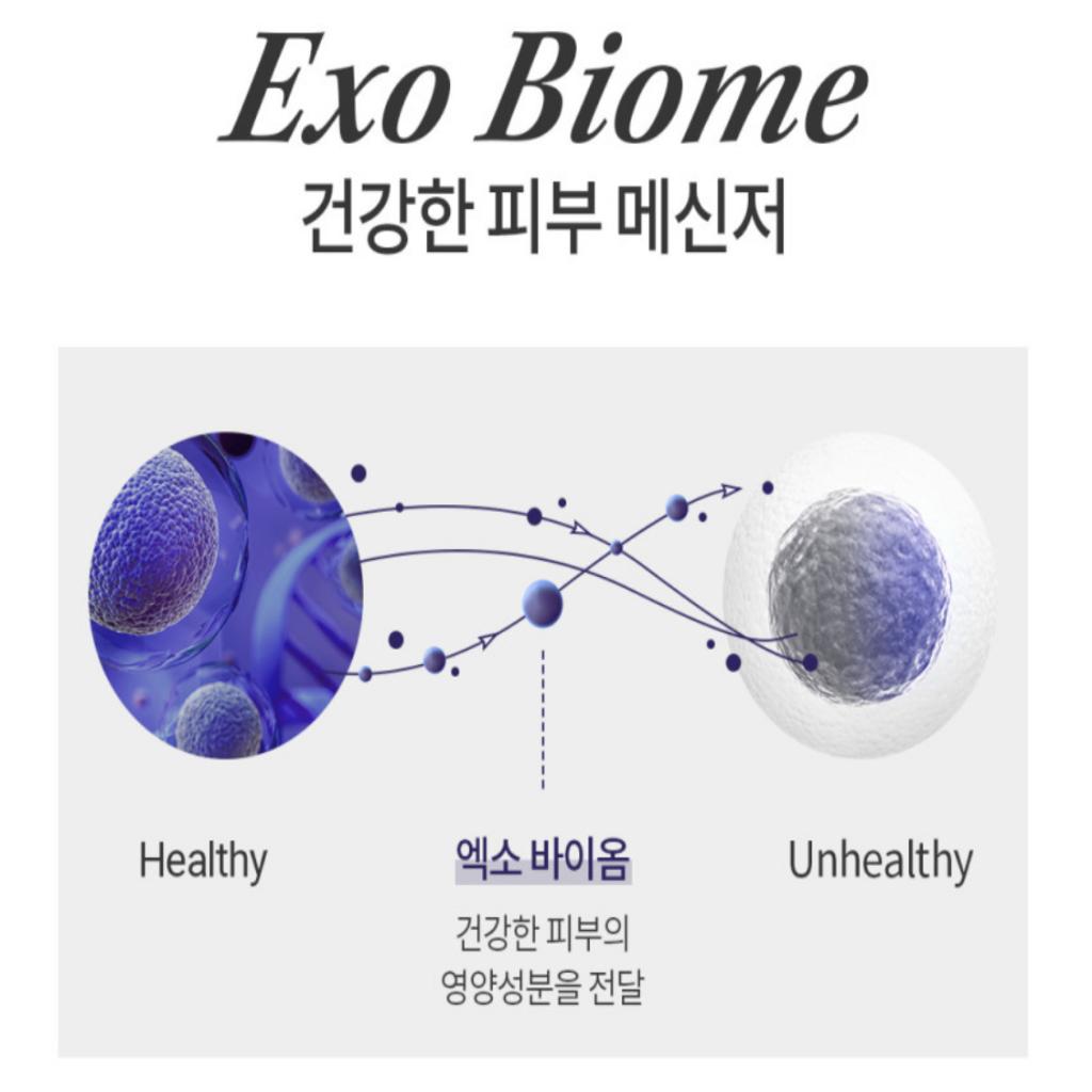 [ДР. PEPTI] Ампула Exo Biome 50 мл