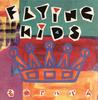 CD FLYING KIDS - Meikyokualbum IKA008 Ika-Ten 1989 Япония Японский Поп/Рок Б/У