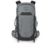 Рюкзак Talon Pro 20 silver lining