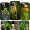 Лягушка Милые Животные Чехол-Ракушка Для iPhone 17 Air 15 16 14 13 12 Pro Max 11 Pro Max Plus Чехол для Телефона