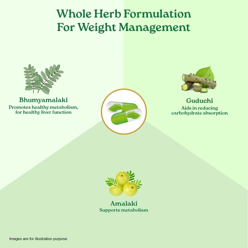 ORGANIC INDIA Баланс Веса 60 Вегетарианских Капсул Для Здорового Метаболизма И Сбалансированной Энергии В Формуле На Растительной Основе
