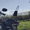 Модифицированная спинка для Dyna Street Bob, Super Glide, Low Rider, Wide Glide