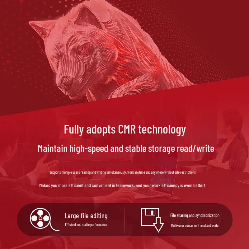 Seagate IronWolf Pro 4TB NAS Hard Drive