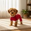 Warm Dog Jumpsuit Soft Puppy Pajamas Pet Base Shirt Winter Pet Overalls  Autumn Winter