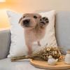 Cushion Cover Kwaii Animal cat dog  Linen  SkinFriendly Soft Decorative Case for Sofa Home Decor Pillow cover