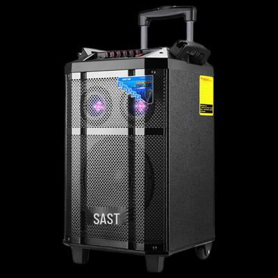 SAST SA-160 Уличная портативная колонка на колесиках CN вилка (адаптер в комплекте)