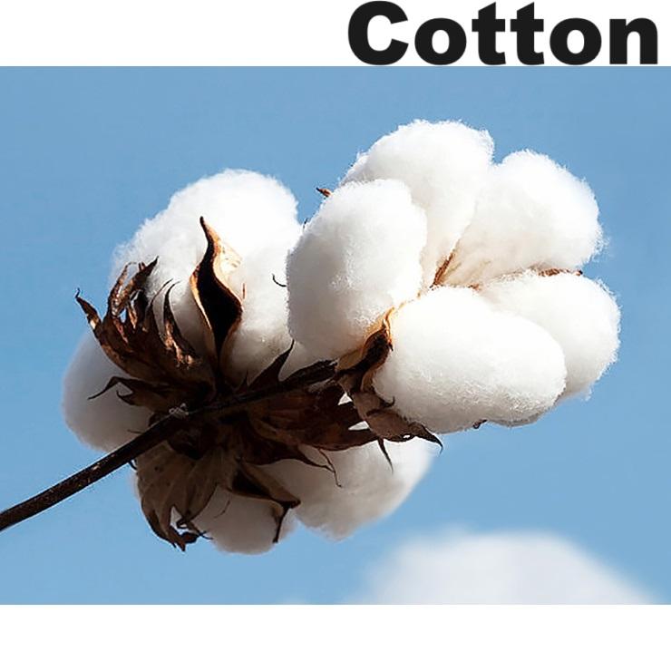 Ancient Muay Thai Thunder T-Shirt Kick Boxing 3D Print Vintage Quick Dry Men Women Unisex Short Sleeve Round Neck MMA Mix Martial Art Cotton