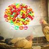 100Pcs Poultry Foot Rings, Bands, Leg Numbered Tag Markers Bands