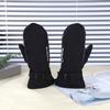 1 Pair Electric Heated Gloves Winter Cycling Motorcycle Moto Heating Gloves Warm Cold-Proof Rechargeable Thermal Skiing Mittens