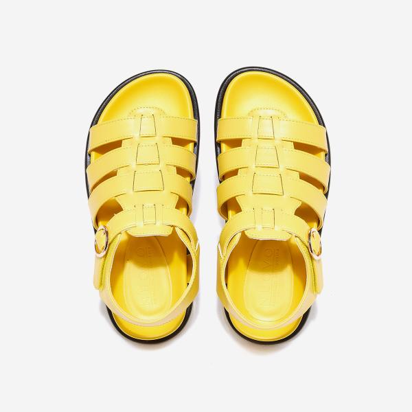 Nuovo Eden 1-NC50243