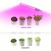 DC5V USB Full Spectrum Grow Light 3W 14LEDs 5W 27LEDs Гибкая лампа для выращивания растений Красный Синий USB Фитосветильник для комнатных цветов